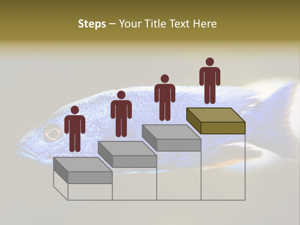 Nature Pet Color PowerPoint Template