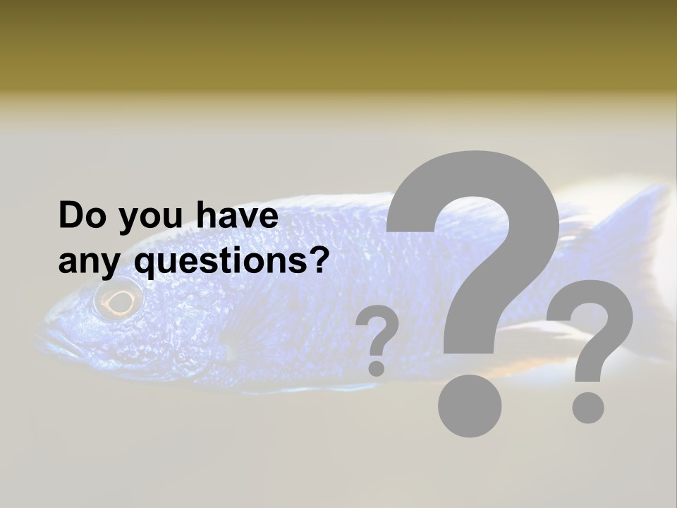 Nature Pet Color PowerPoint Template