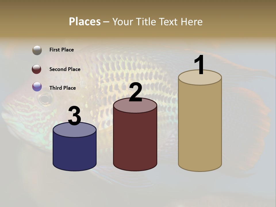 Soothing Live Amazon PowerPoint Template