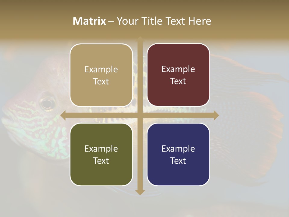 Soothing Live Amazon PowerPoint Template