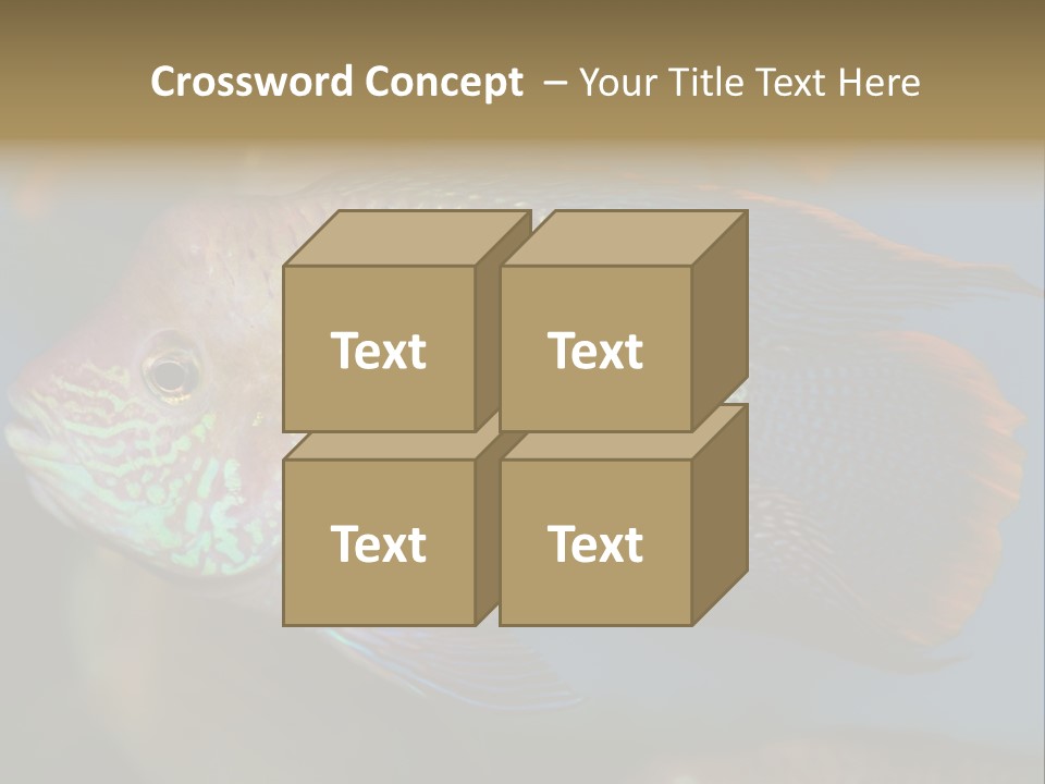 Soothing Live Amazon PowerPoint Template