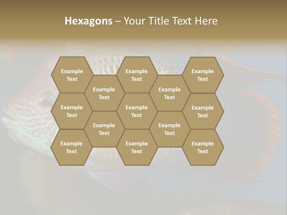 Soothing Live Amazon PowerPoint Template