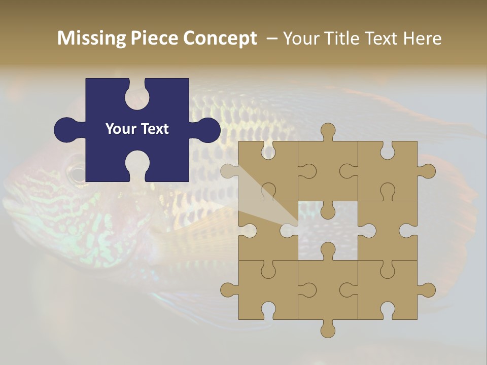 Soothing Live Amazon PowerPoint Template