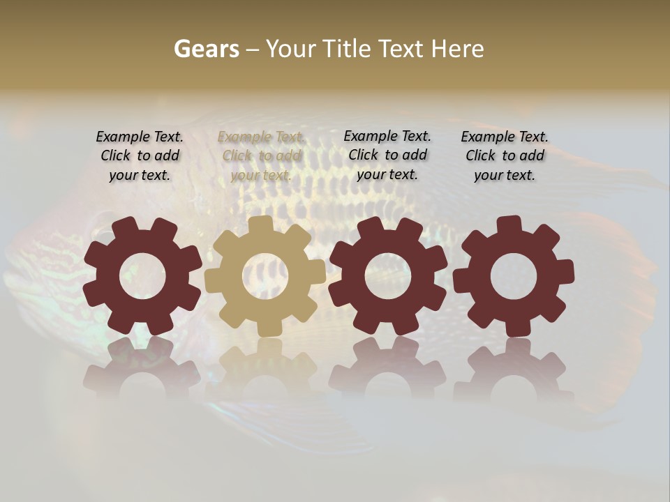 Soothing Live Amazon PowerPoint Template