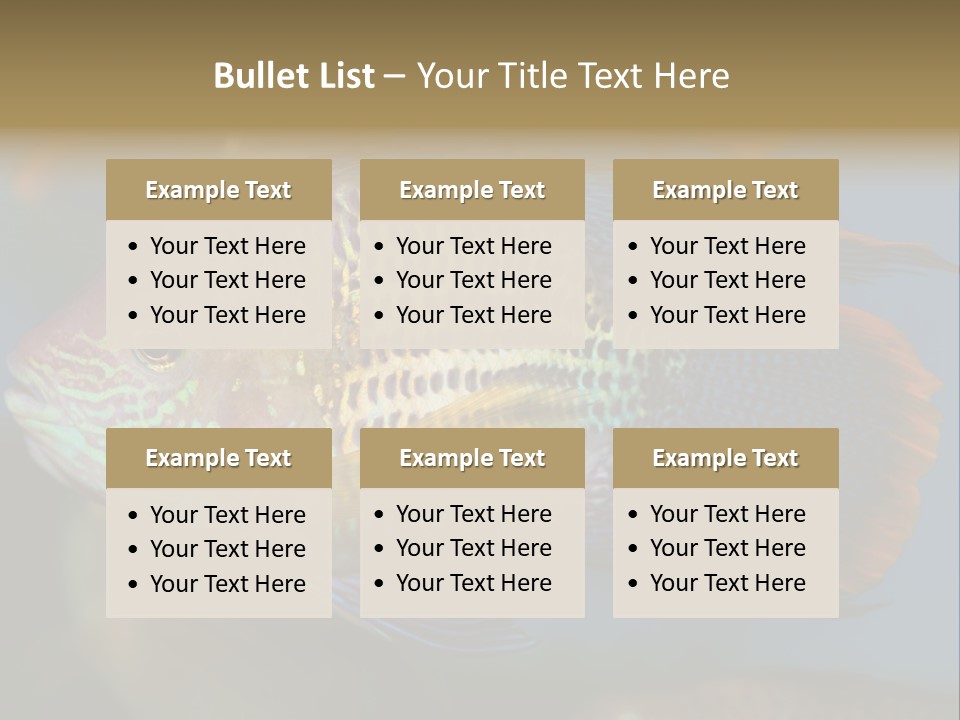 Soothing Live Amazon PowerPoint Template