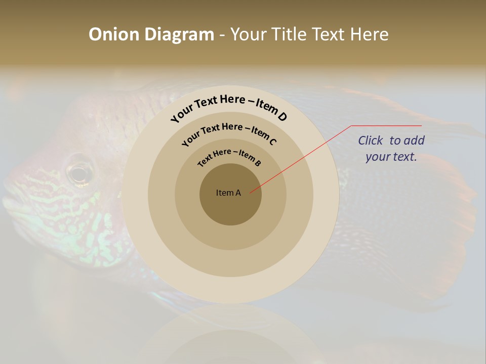 Soothing Live Amazon PowerPoint Template