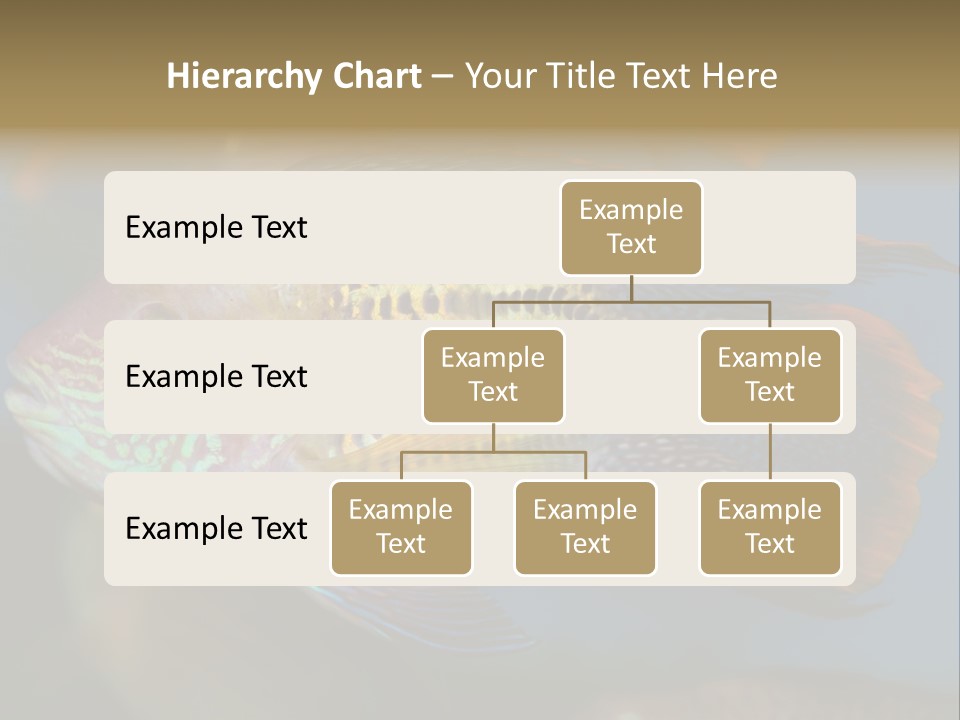 Soothing Live Amazon PowerPoint Template
