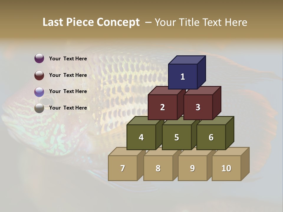 Soothing Live Amazon PowerPoint Template
