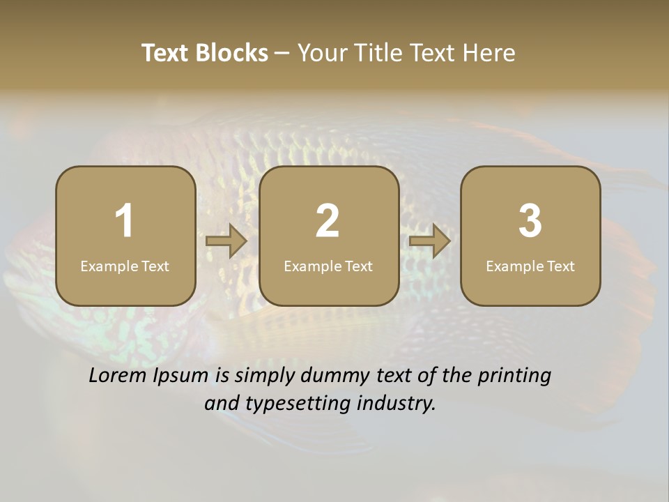 Soothing Live Amazon PowerPoint Template