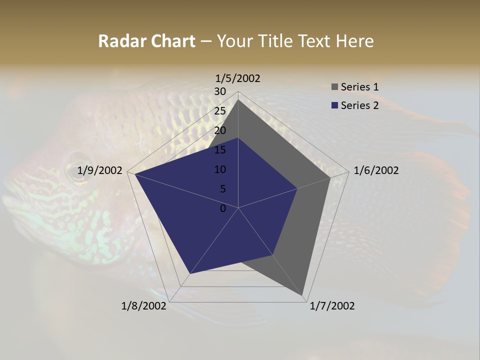 Soothing Live Amazon PowerPoint Template