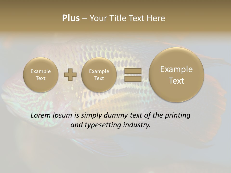 Soothing Live Amazon PowerPoint Template