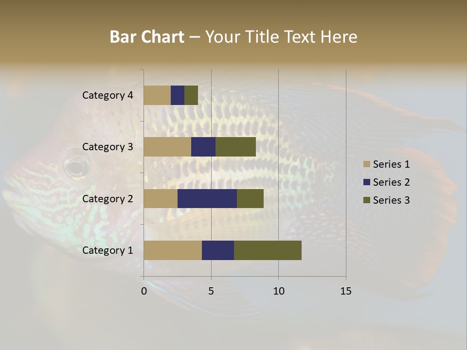 Soothing Live Amazon PowerPoint Template