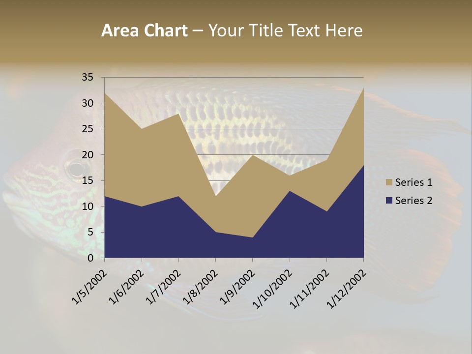 Soothing Live Amazon PowerPoint Template