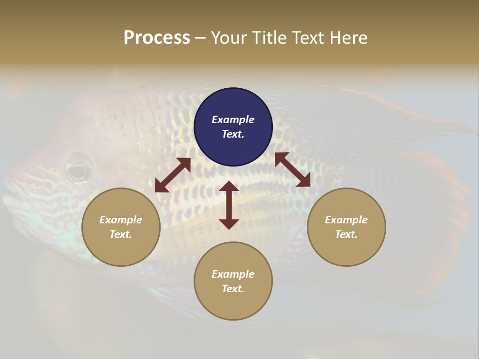 Soothing Live Amazon PowerPoint Template
