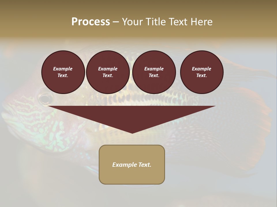 Soothing Live Amazon PowerPoint Template