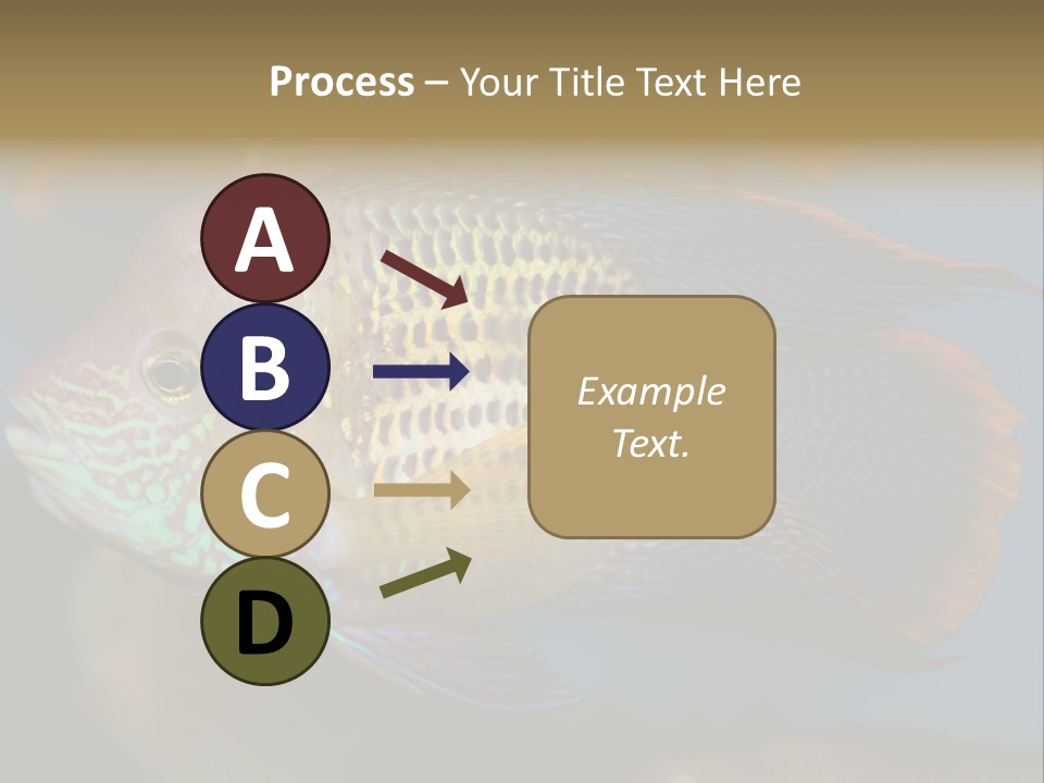 Soothing Live Amazon PowerPoint Template