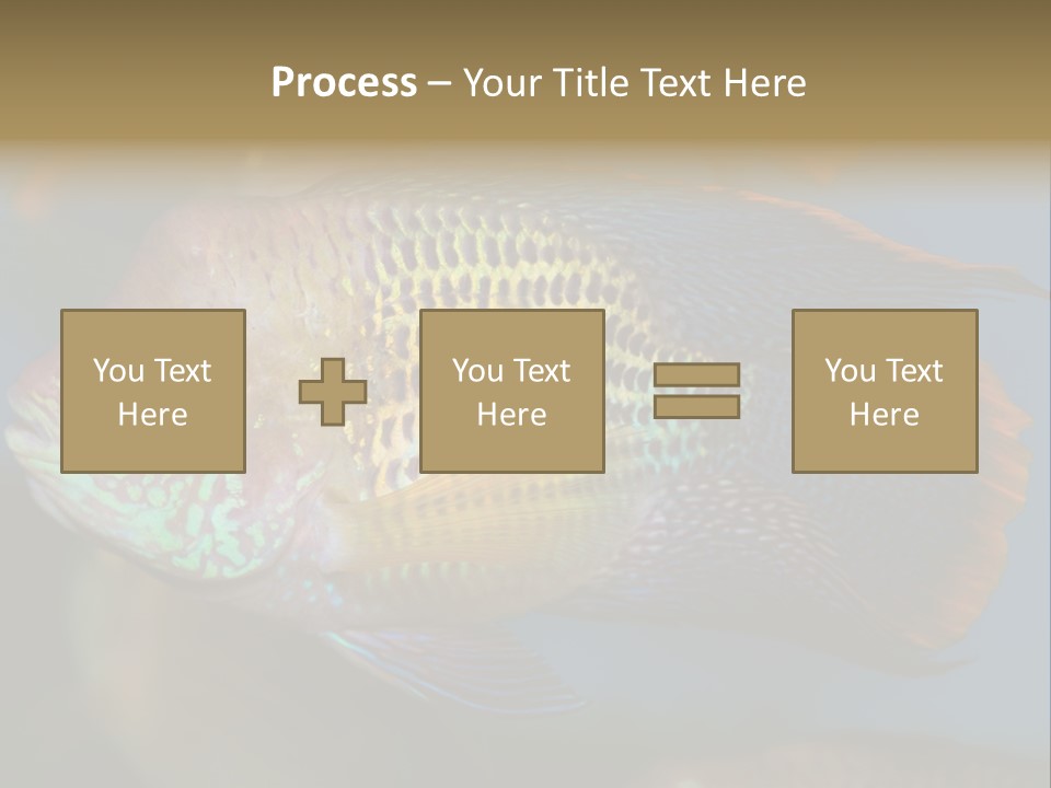 Soothing Live Amazon PowerPoint Template