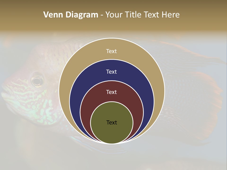 Soothing Live Amazon PowerPoint Template