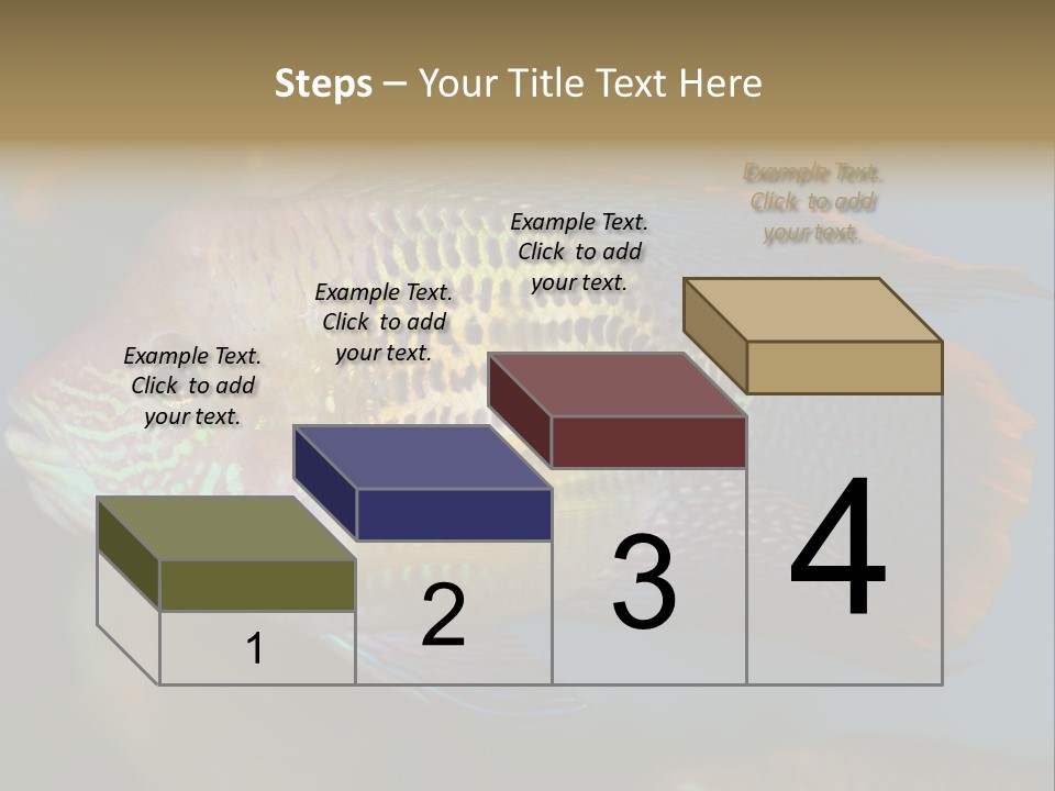 Soothing Live Amazon PowerPoint Template