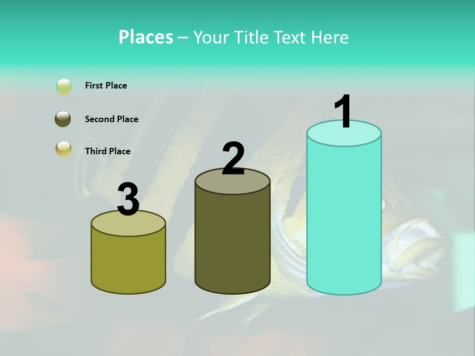 Exhibit Isolated Tank PowerPoint Template