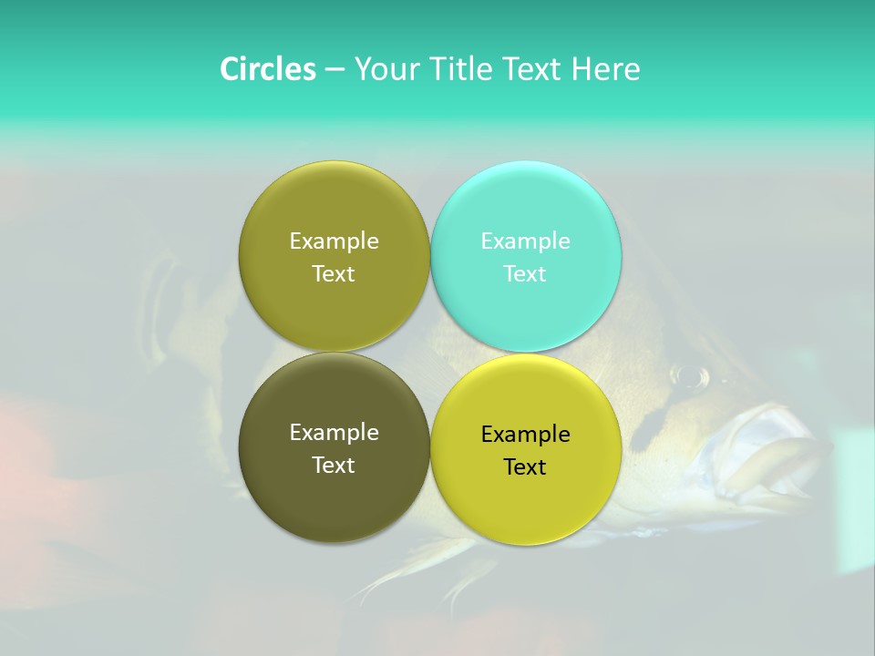 Exhibit Isolated Tank PowerPoint Template