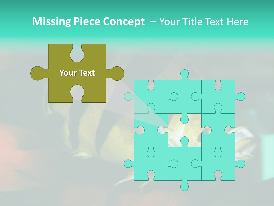 Exhibit Isolated Tank PowerPoint Template