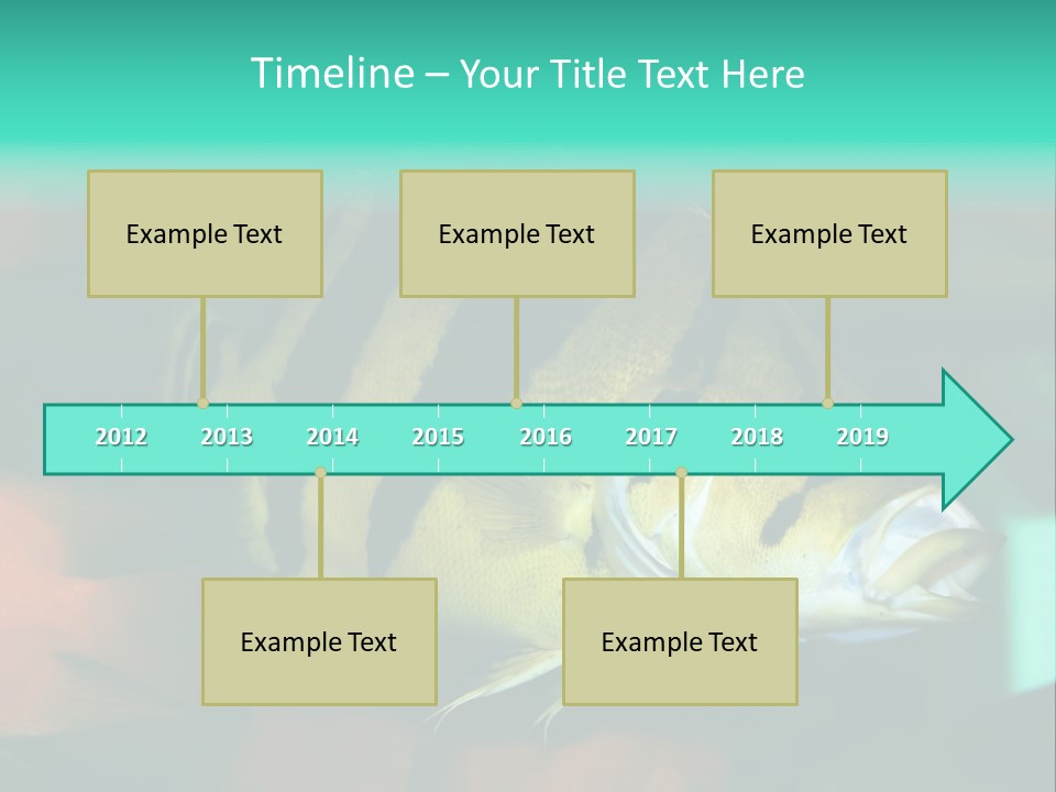 Exhibit Isolated Tank PowerPoint Template