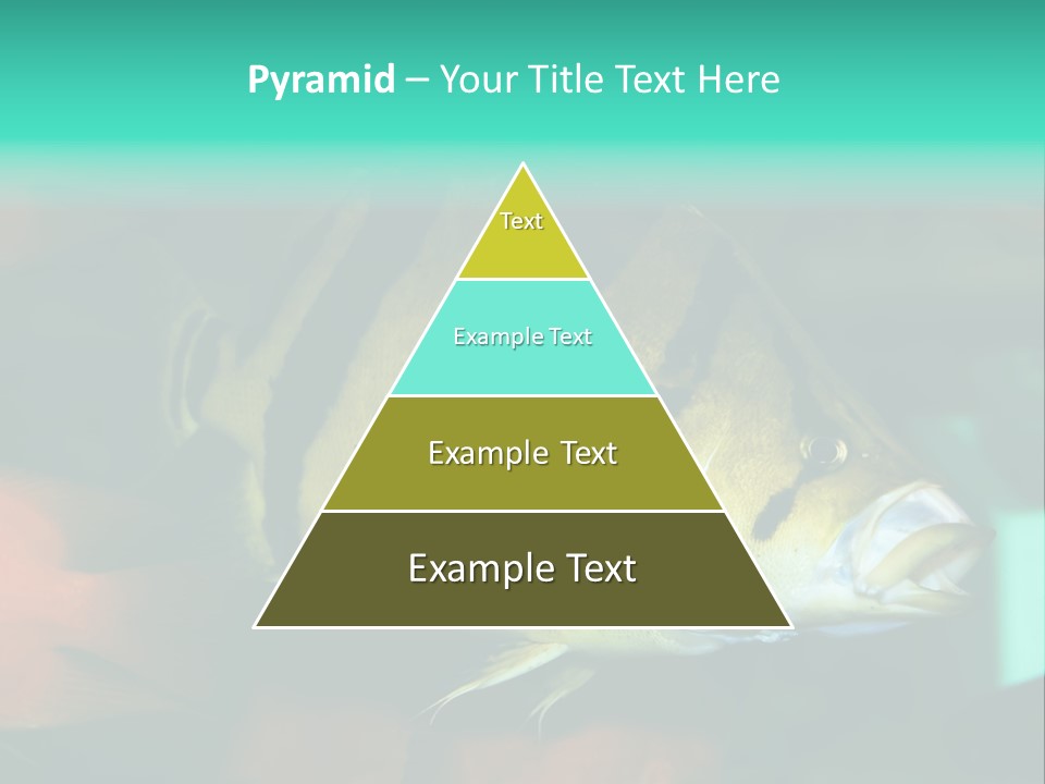 Exhibit Isolated Tank PowerPoint Template