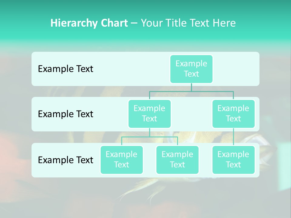 Exhibit Isolated Tank PowerPoint Template