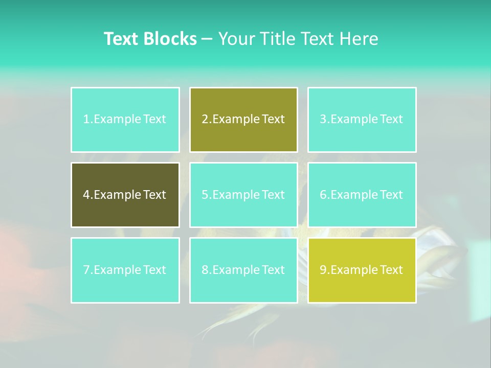 Exhibit Isolated Tank PowerPoint Template