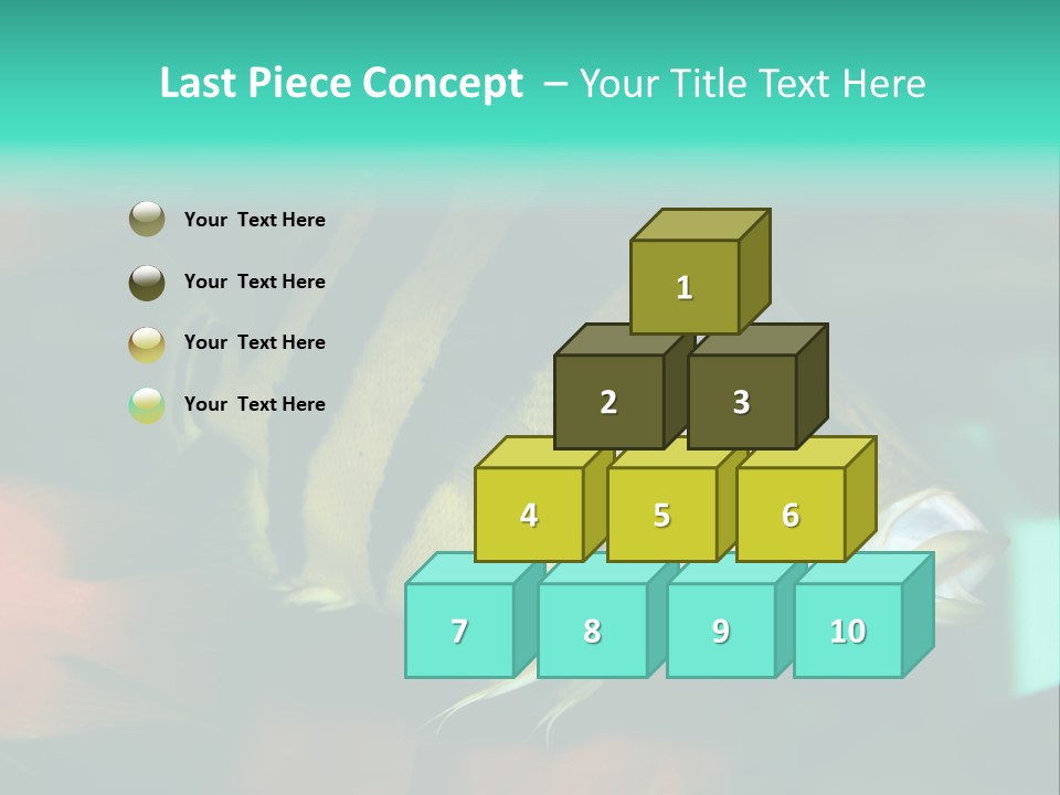 Exhibit Isolated Tank PowerPoint Template