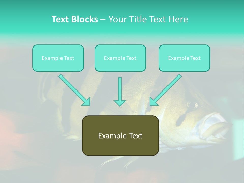 Exhibit Isolated Tank PowerPoint Template