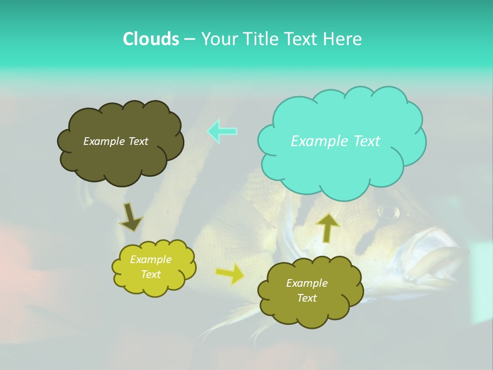 Exhibit Isolated Tank PowerPoint Template