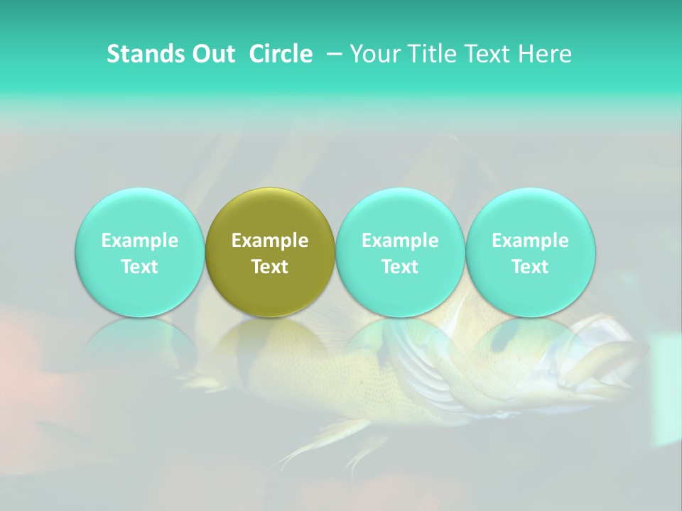 Exhibit Isolated Tank PowerPoint Template