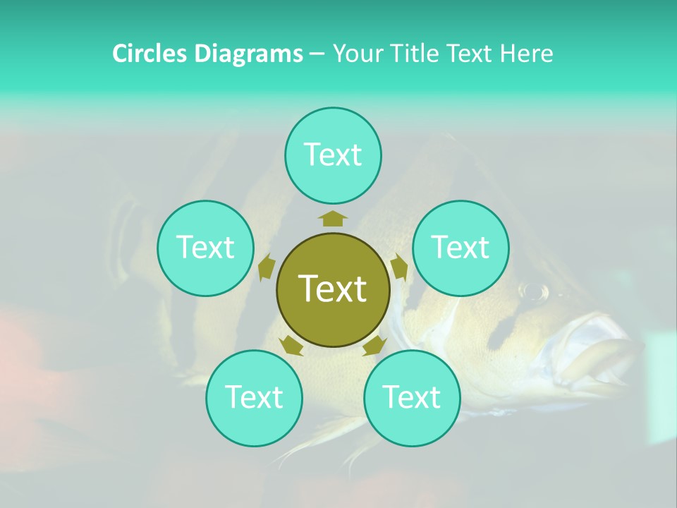 Exhibit Isolated Tank PowerPoint Template
