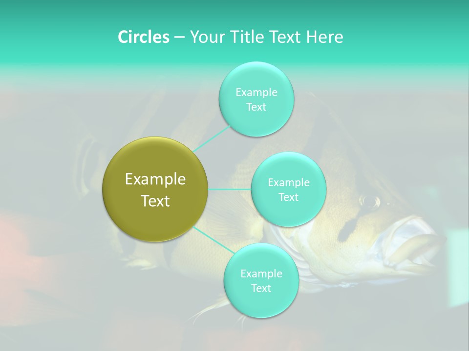 Exhibit Isolated Tank PowerPoint Template