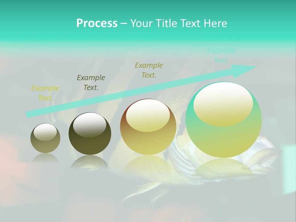 Exhibit Isolated Tank PowerPoint Template