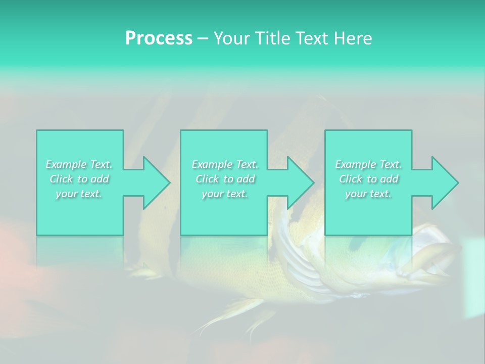 Exhibit Isolated Tank PowerPoint Template