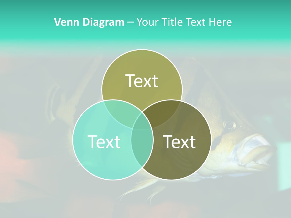 Exhibit Isolated Tank PowerPoint Template