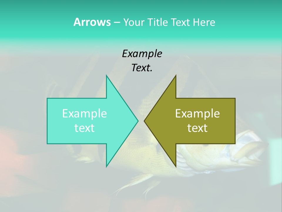 Exhibit Isolated Tank PowerPoint Template