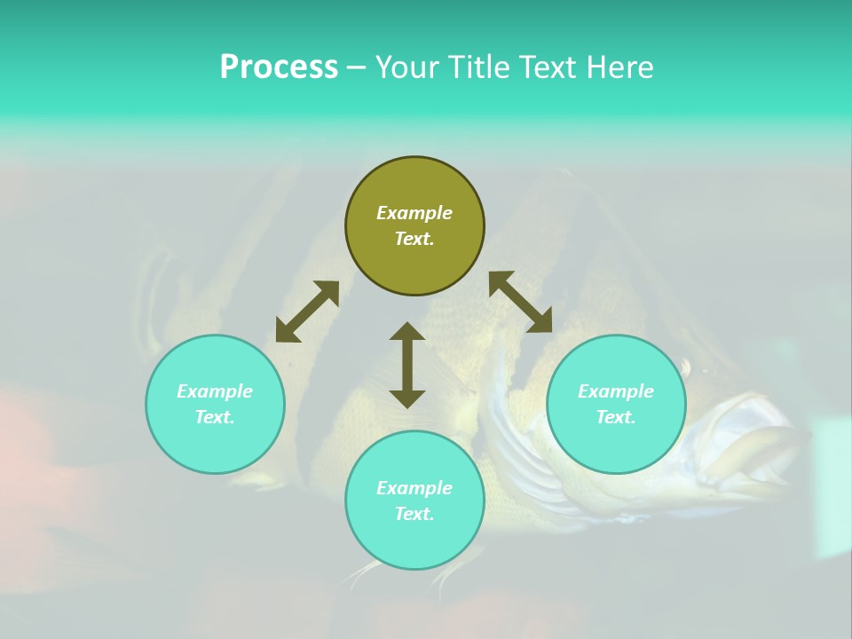 Exhibit Isolated Tank PowerPoint Template