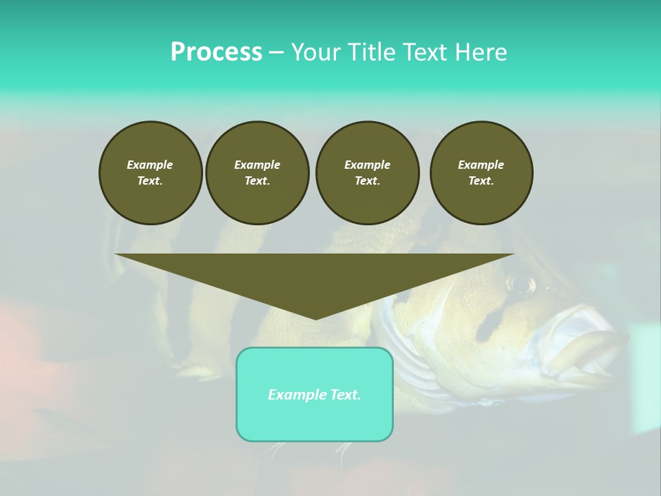 Exhibit Isolated Tank PowerPoint Template