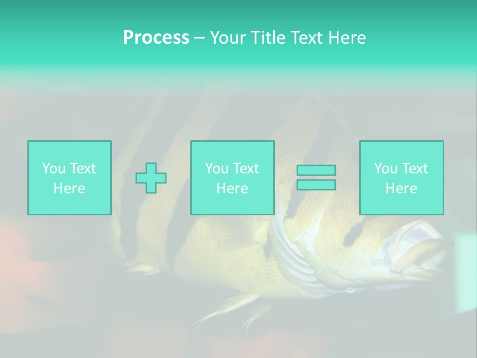 Exhibit Isolated Tank PowerPoint Template