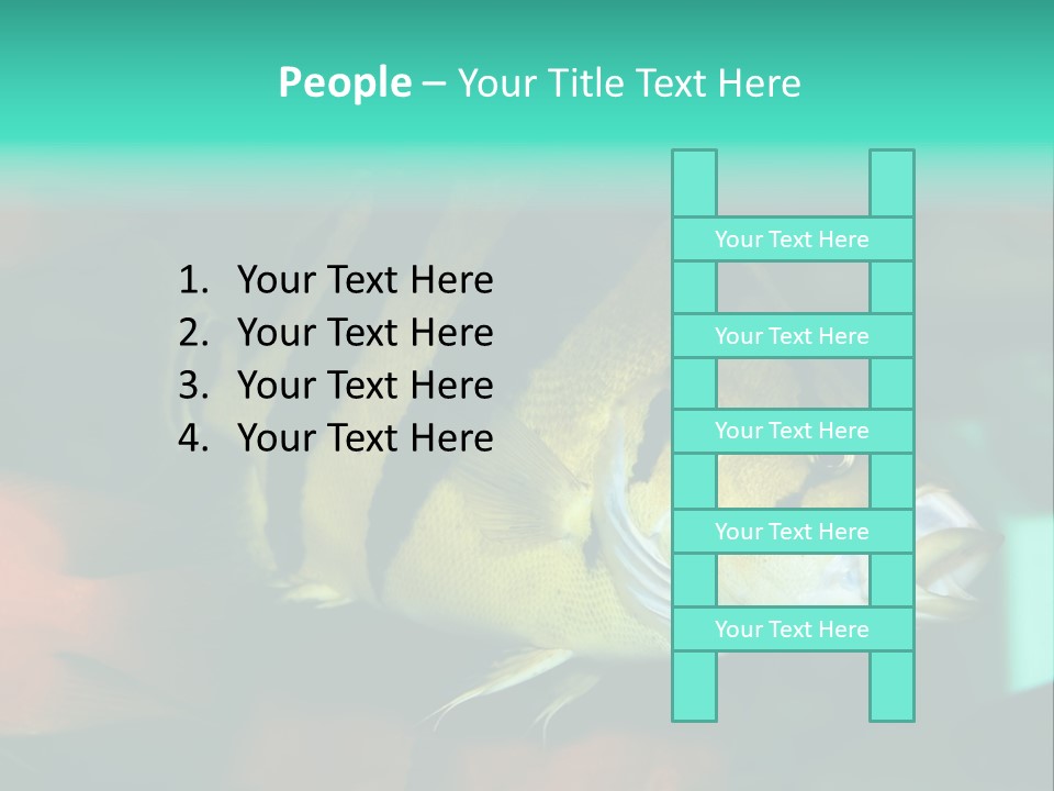Exhibit Isolated Tank PowerPoint Template