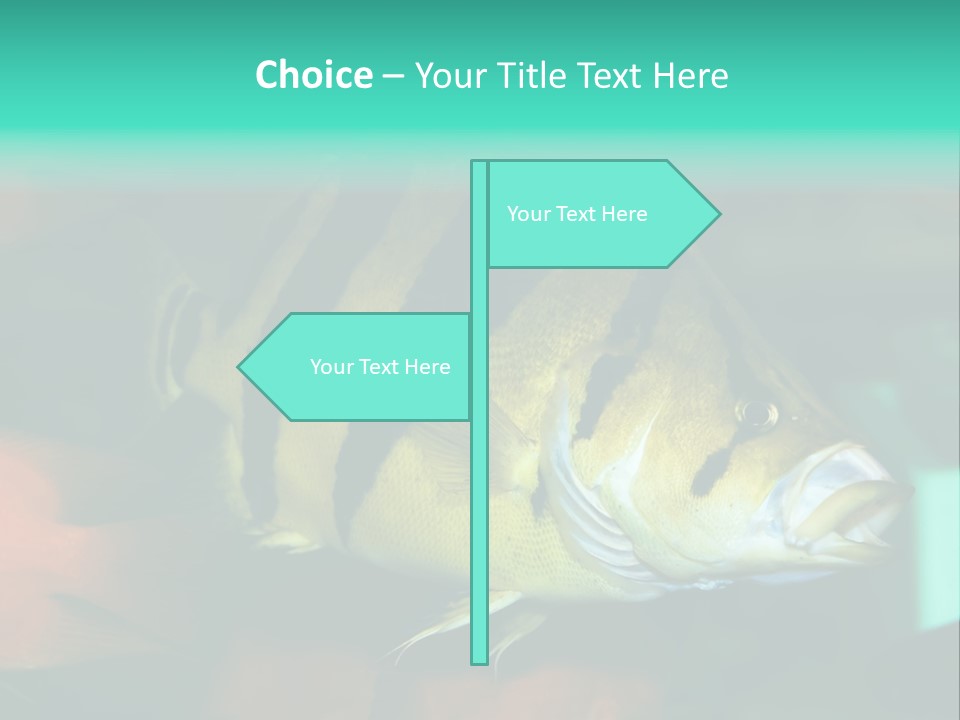 Exhibit Isolated Tank PowerPoint Template