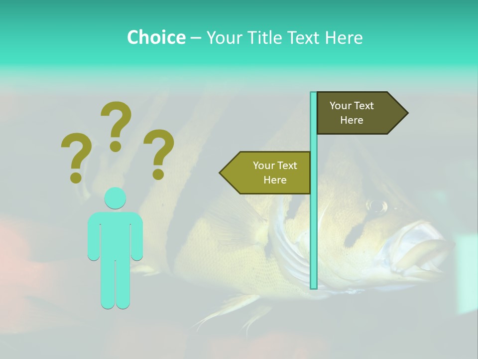 Exhibit Isolated Tank PowerPoint Template
