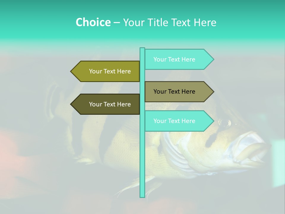 Exhibit Isolated Tank PowerPoint Template