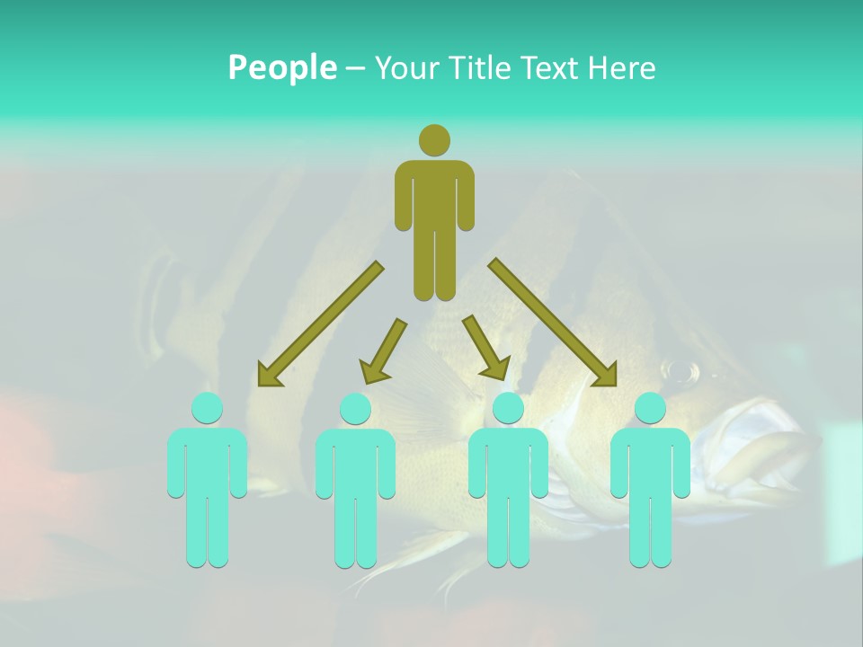 Exhibit Isolated Tank PowerPoint Template