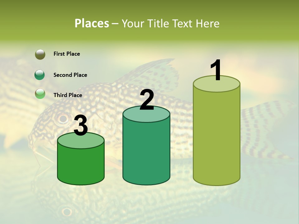 Environment Amazon Recreational PowerPoint Template