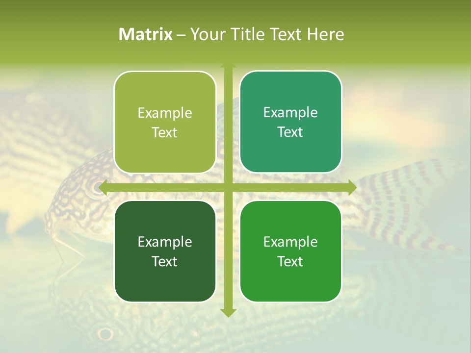 Environment Amazon Recreational PowerPoint Template
